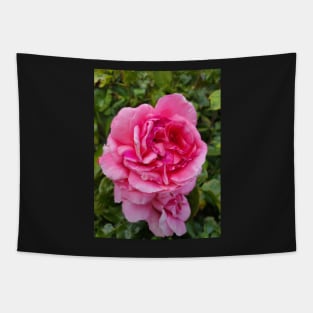 gift, for birthday happy birthday beautiful, flower Tapestry