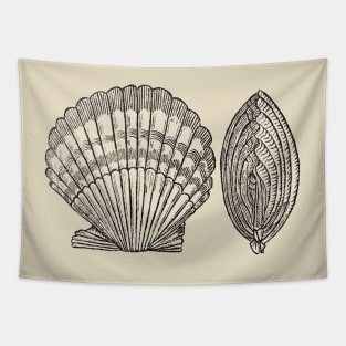 Seashell Tapestry