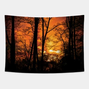 sunset in the woods Tapestry