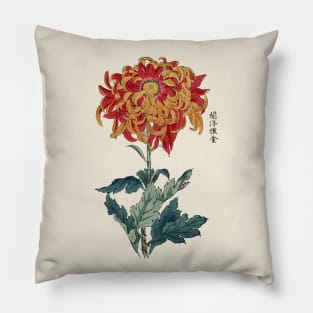 Chrysanthemum Antique Japanese Botanical Illustration Pillow