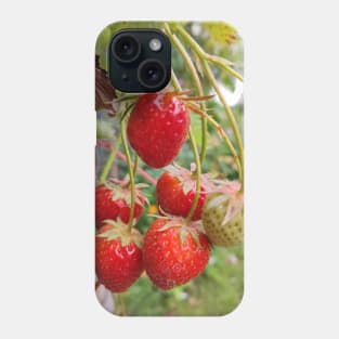 Strawberries Phone Case