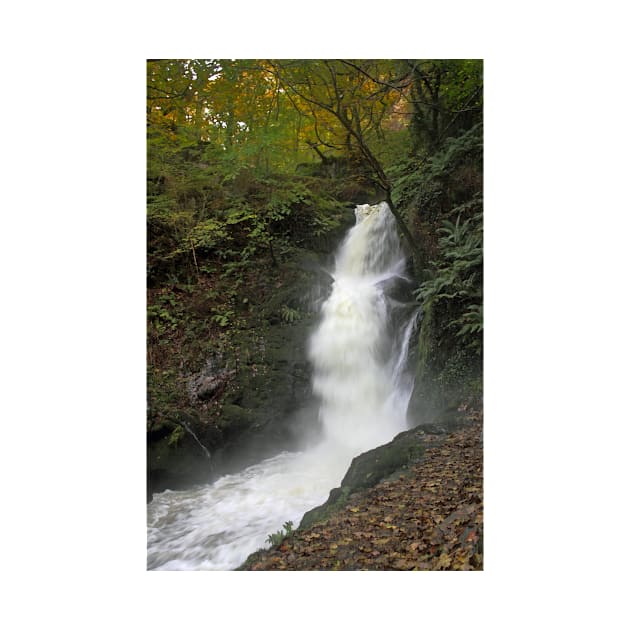 Dolgoch Falls Gwynedd by avrilharris