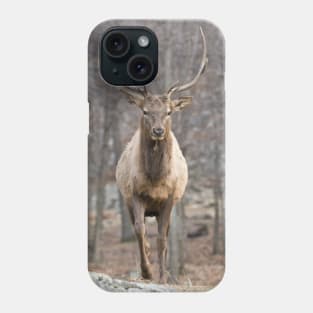 Elk Phone Case