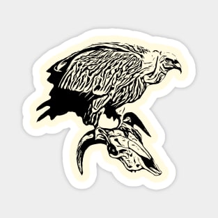 Vulture Magnet