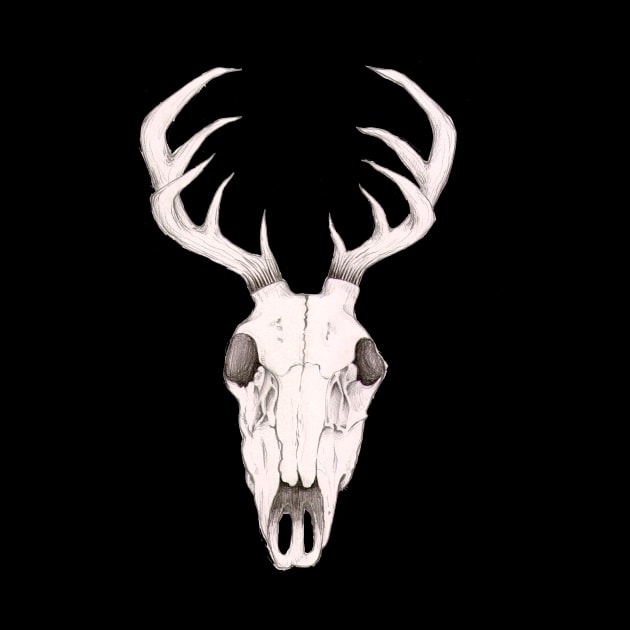 Deer Skull by srw110