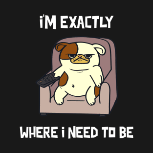 I'm exactly where I need to be T-Shirt