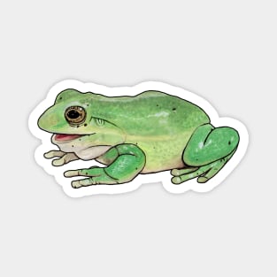 Tree Frog Magnet