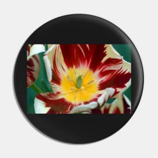 TULIP Pin