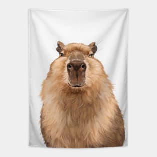 Chubby Capybara Tapestry