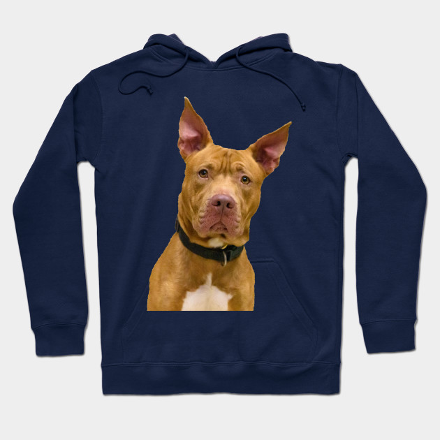 dog hoodie uk