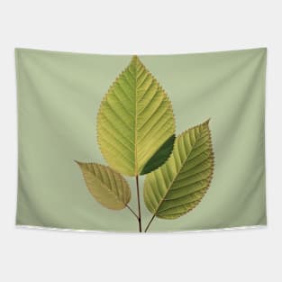 Elegant Green Leaves Art Tapestry