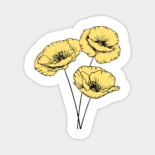 Yellow Poppy Plant Hand Drawn Gardening Gift Magnet