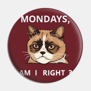 Mondays, Am I Right? Pin