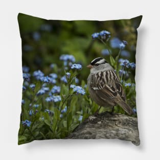 White Crowned Sparrow Pillow