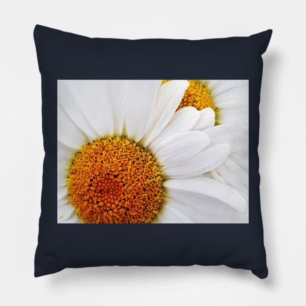 Daisy Duo Pillow by LaurieMinor