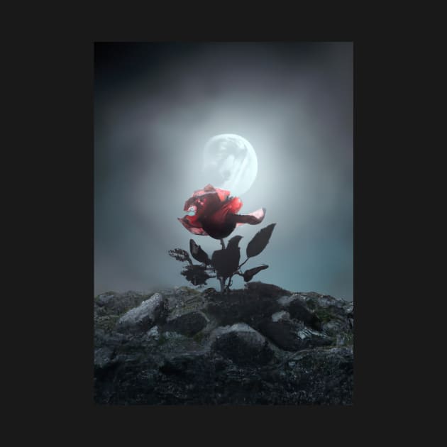 Rose on the Moon by maxcode