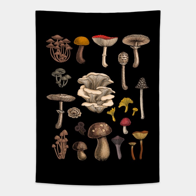 Wild mushrooms Tapestry by katerinamk