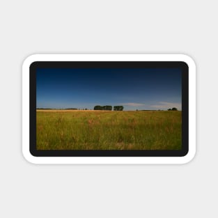 Poplars on the horizon Magnet