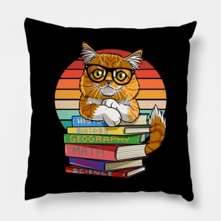 Maine Coon Cat Back To School Teacher's Pet Pillow