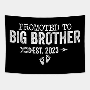 Big Brother Promoted To Big Brother 2023 Toddler Boys Tapestry