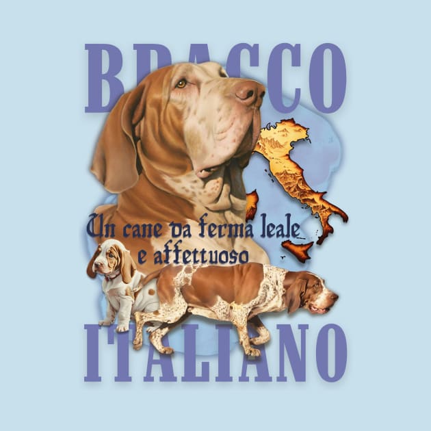 Bracco Italiano Profile by Soapy Retro