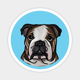 Pop Art Cartoon English Bulldog Magnet