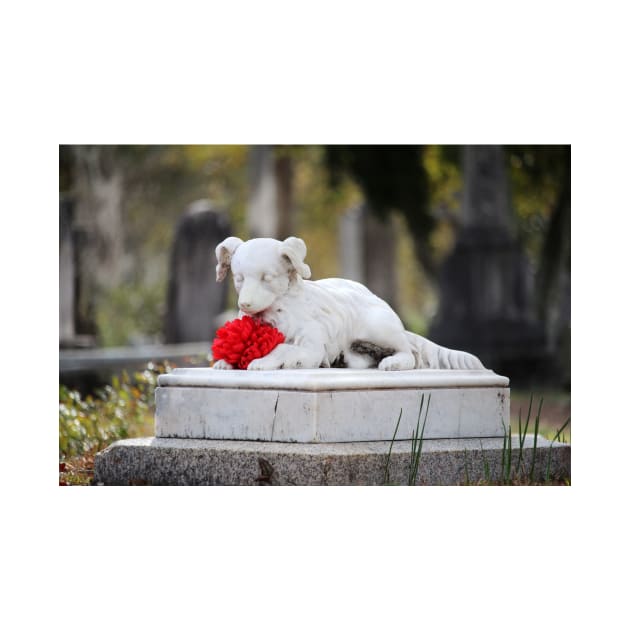 Dog Tombstone With Red Flower by Cynthia48