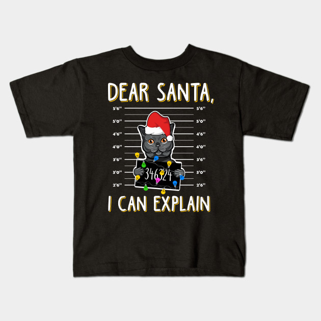 santa i can explain sweater