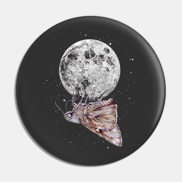 The Moth and The Moon Pin by jamesormiston