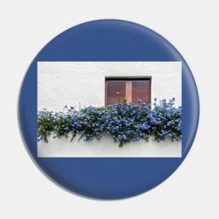 Window with blue flowers Pin