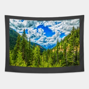 San Juan Skyway Tapestry