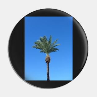 Single Palm Tree with Blue Sky2 Pin