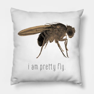 i am pretty fly. Pillow