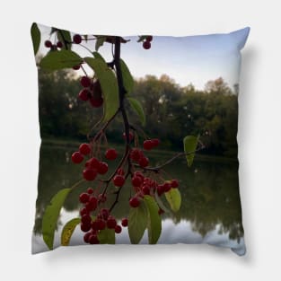 Red Berries Against a Peaceful Pond - Tomahawk Creek Pond Overland Park KS Pillow