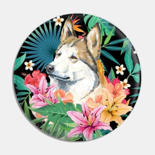 Tropical Orange Copper Sable Siberian Husky 11 Pin