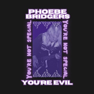 Boygenius Phoebe Bridgers Letter to an Old Poet T-Shirt