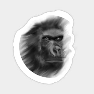 Leader chimpanzee in the Forest Magnet