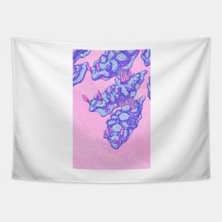 Ceratoma Sinuata Pink and Blue Tapestry