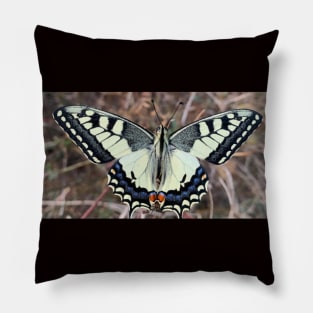 Butterfly Pillow