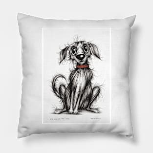 Mr Smelly the dog Pillow