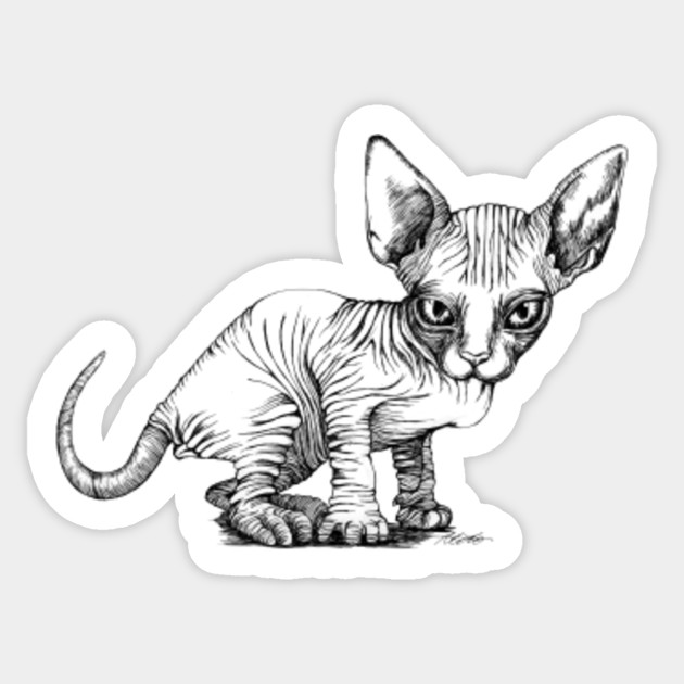 Sphynx Cat Sphynx Cat Sticker Teepublic
