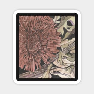 Dandelion drawing, Daring to be Different, gardener's delight! Magnet