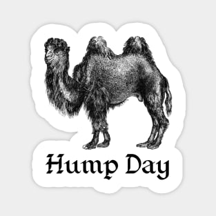 Hump Day Magnet