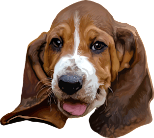 Basset Hound Dog Magnet
