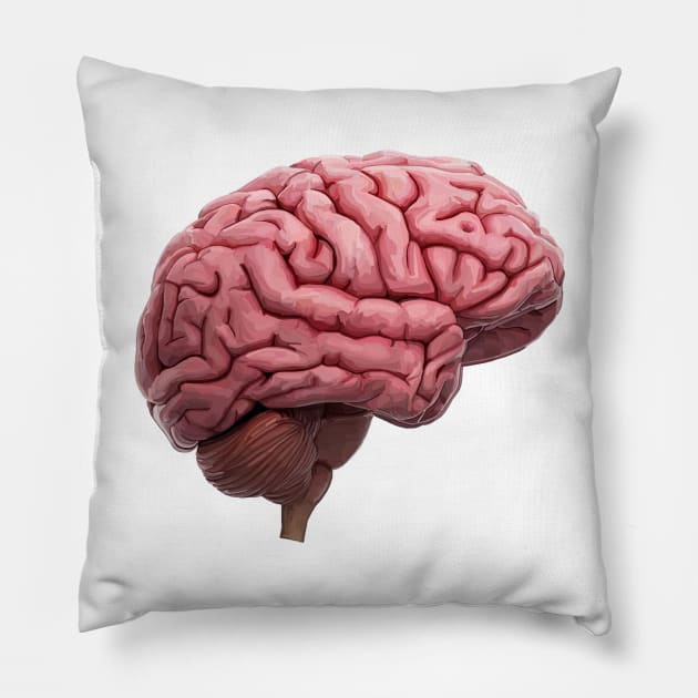 Scientific Human Brain Study Pillow by Art by Deborah Camp