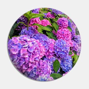 Hydrangeas at the Victoria & Albert Museum Pin