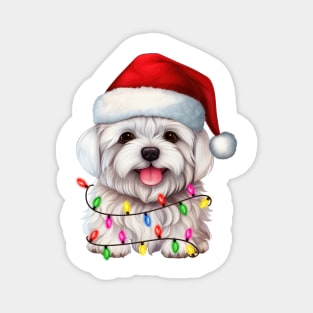 Christmas Maltese Magnet