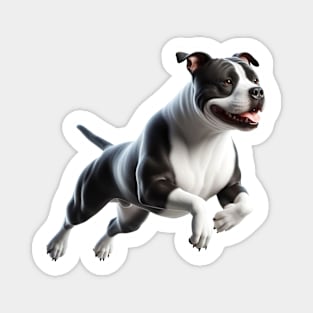 American Staffordshire Terrier Magnet