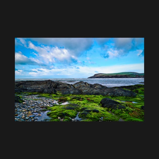 Coastal Scenery - Beach, Rocks & Seaweed - Newport, Pembrokeshire by Harmony-Mind