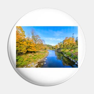 Vermont Panorama, Woodstock Pin